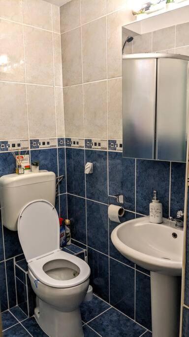 Cosy One Bedroom Flat With Free Parking & Wifi 克卢日-纳波卡 外观 照片