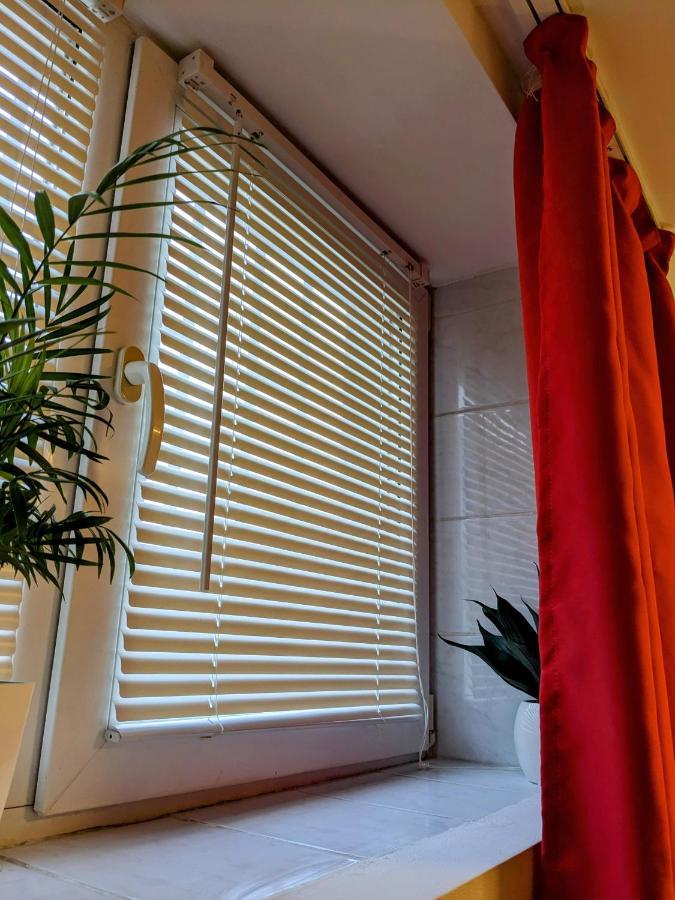 Cosy One Bedroom Flat With Free Parking & Wifi 克卢日-纳波卡 外观 照片